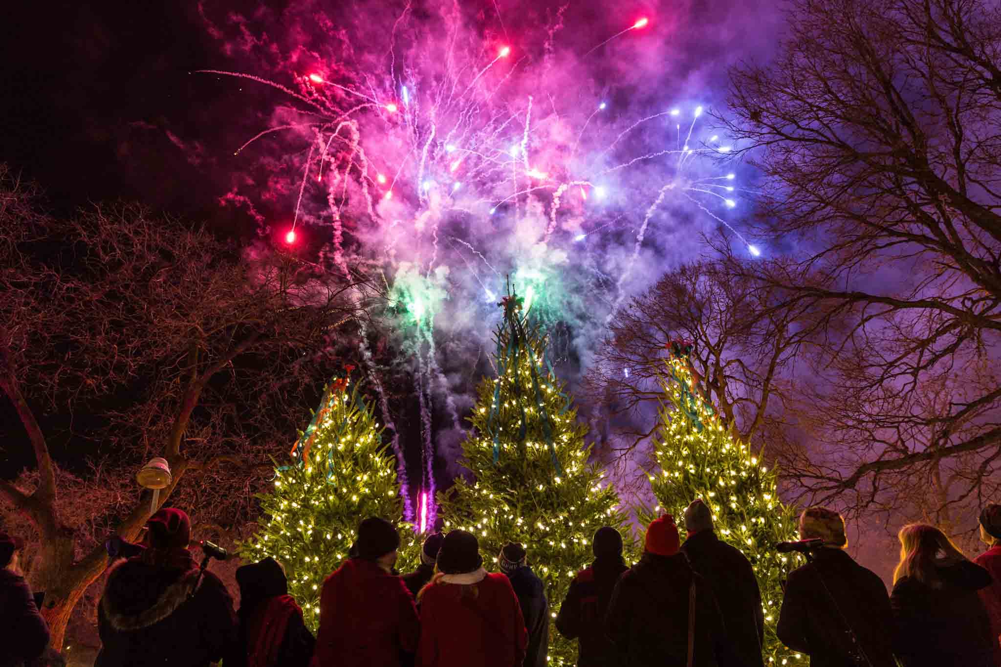 Winter Wonderlands and Holiday Lights in Minnesota - DayTripper