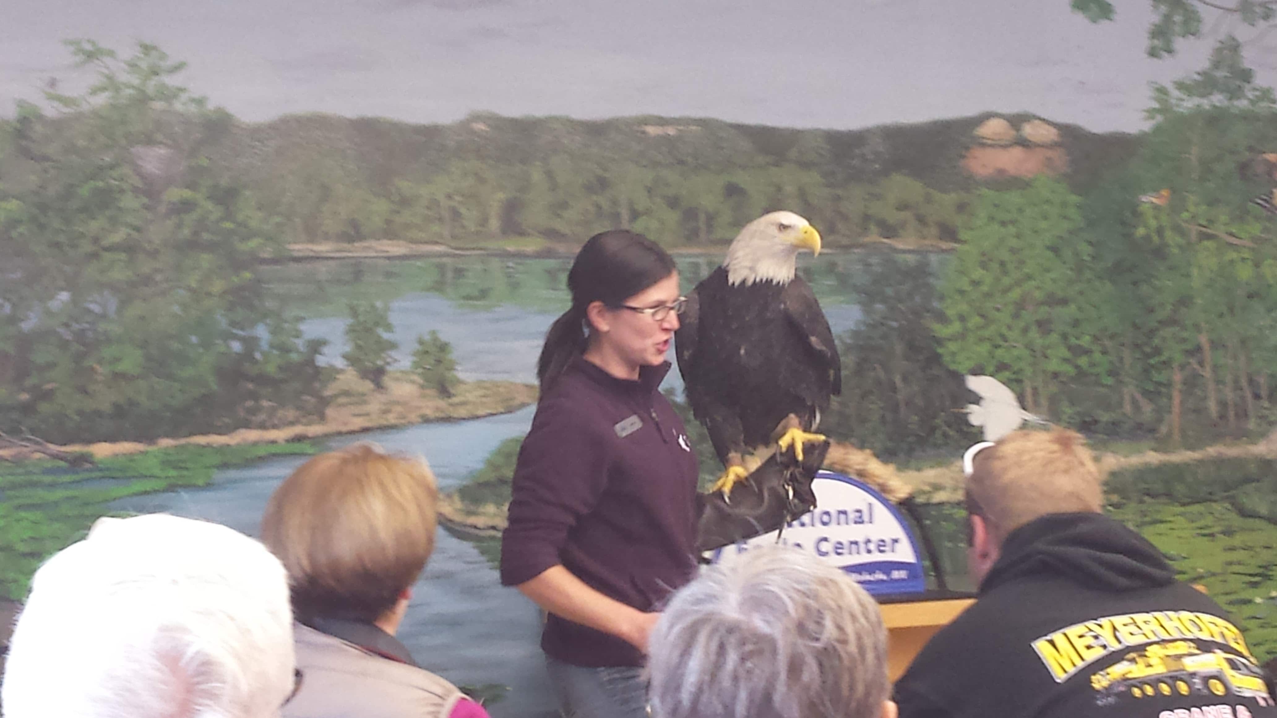 Eagle Show at the National Eagle Center in Wabasha