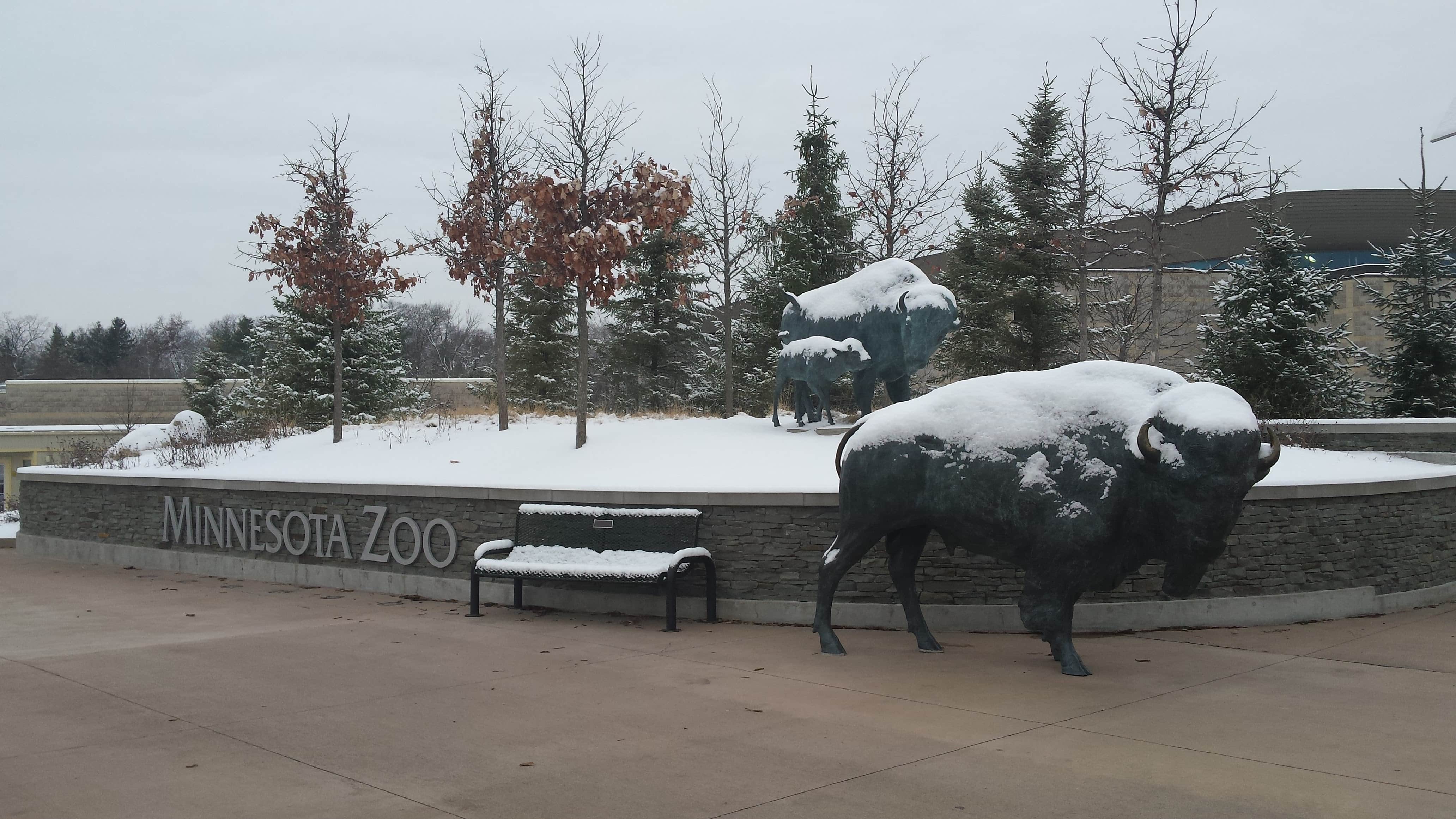 Minnesota Zoo in Winter