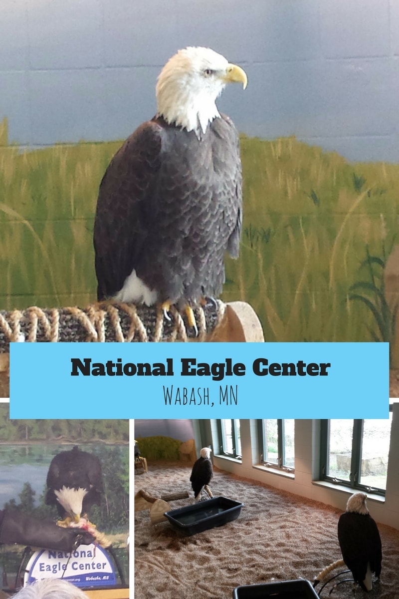 National Eagle Center in Wabasha
