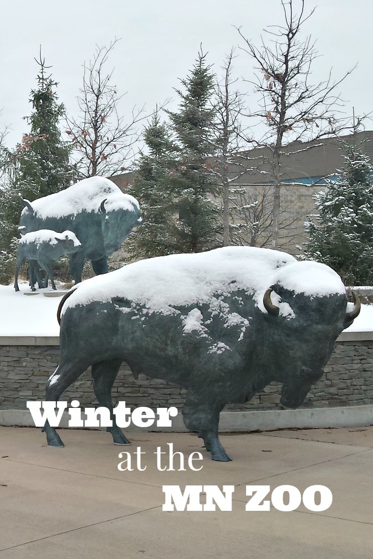Winter at the Minnesota Zoo in Apple Valley is the most magical time of the year. The tropics are always warm and you can get up close and personal with most of the Animals. 