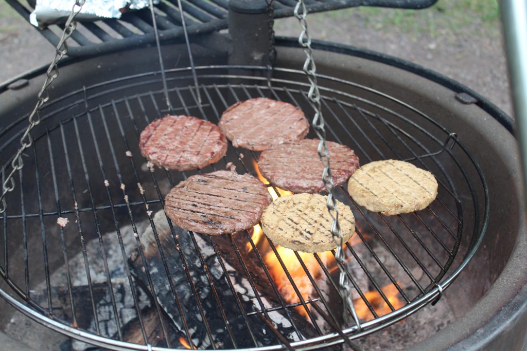 Burgers of the Fire at Gooseberry Falls State Park