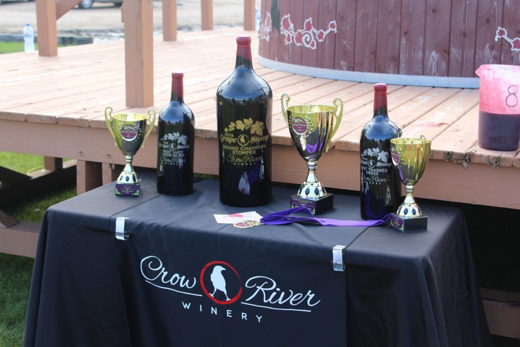 Trophies at the Grape Stomp at Crow River Winery in Hutchinson MN.