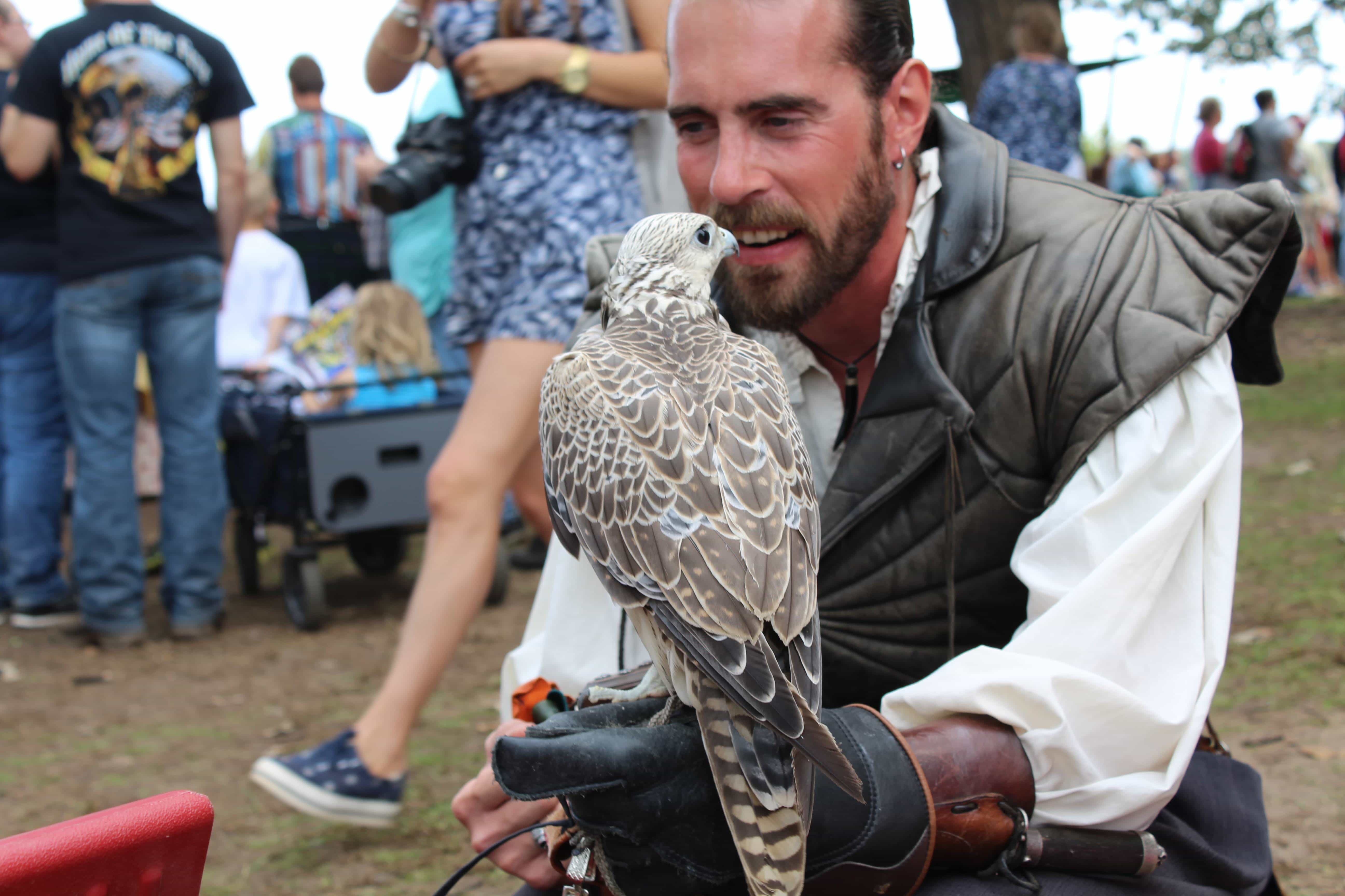 Hawk at the Minnesota Renaissance Festival