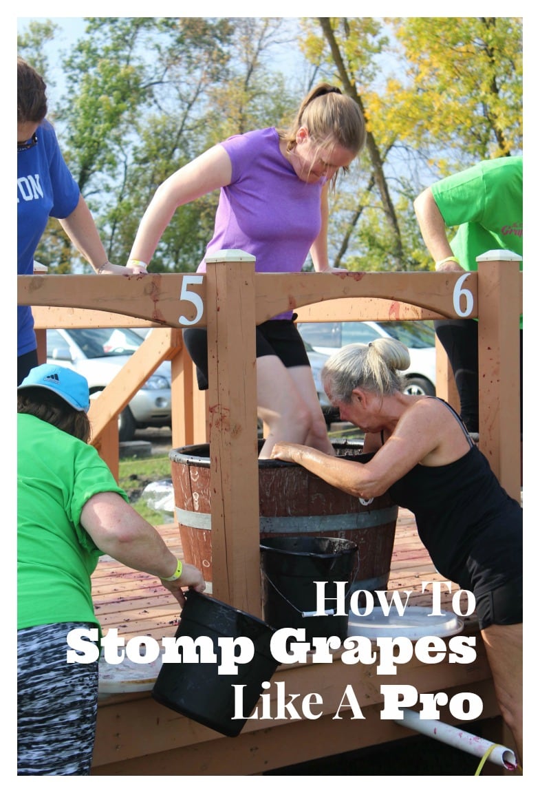 Grape Stomps can be lots of fun, but lots of work. If you've just entered a competition, make sure you know what you're getting yourself into.