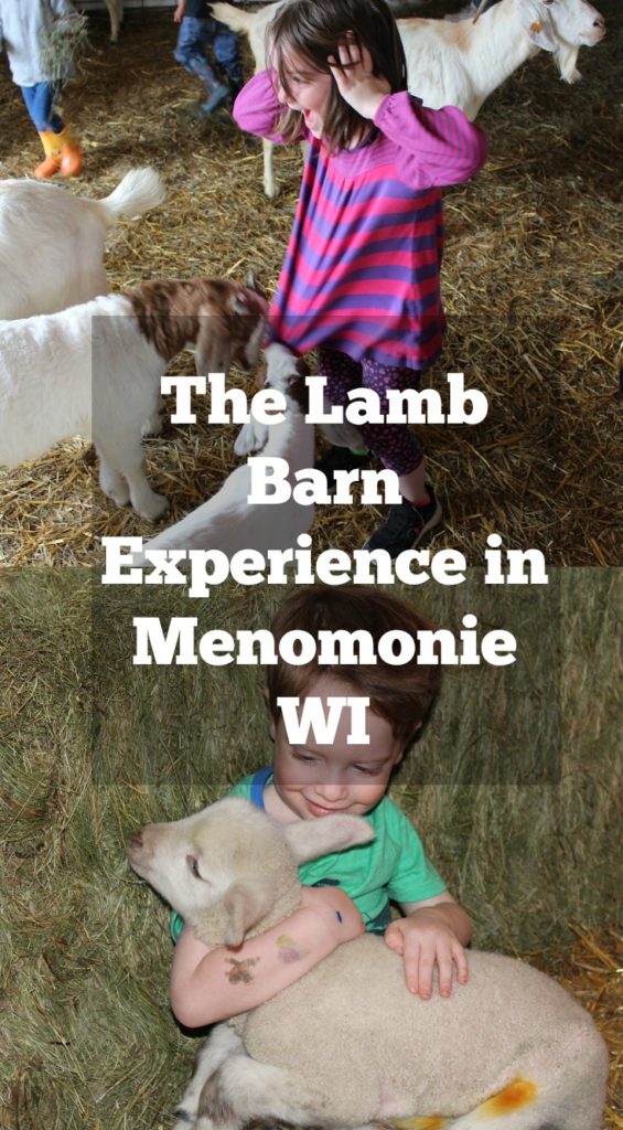 Spring and Baby Animals go hand in hand. But have you ever held one? Your kids will love this experience in Menomonie Wisconsin