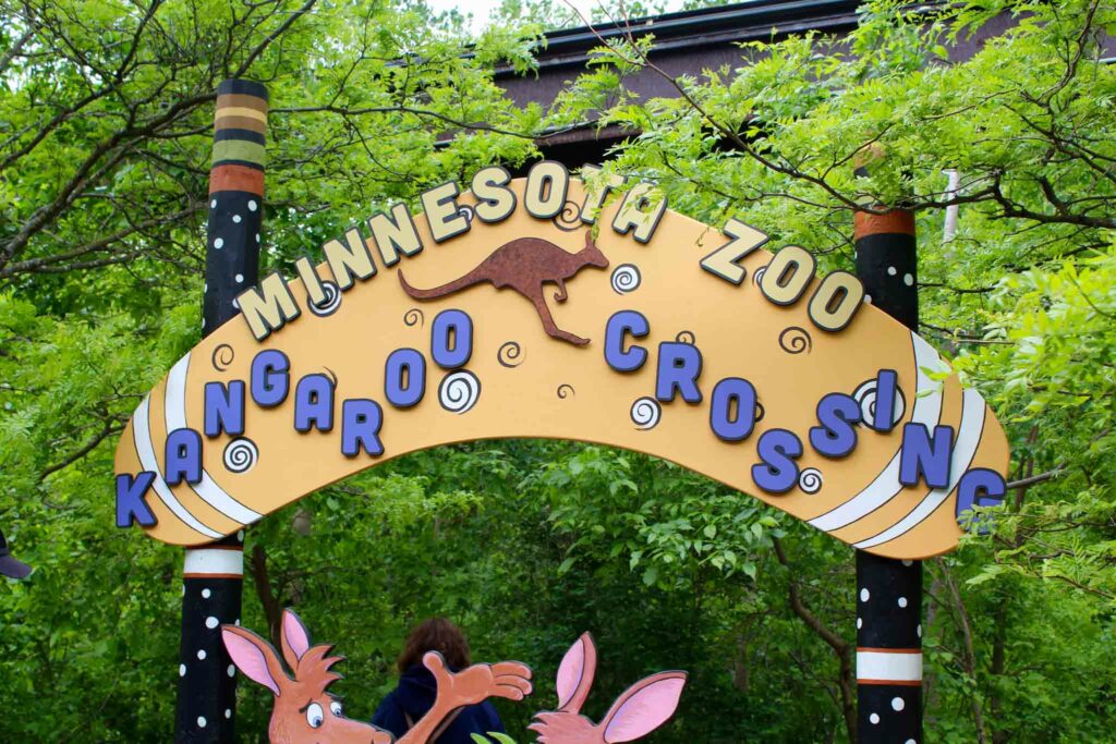 Kangaroo Crossing at the Minnesota Zoo