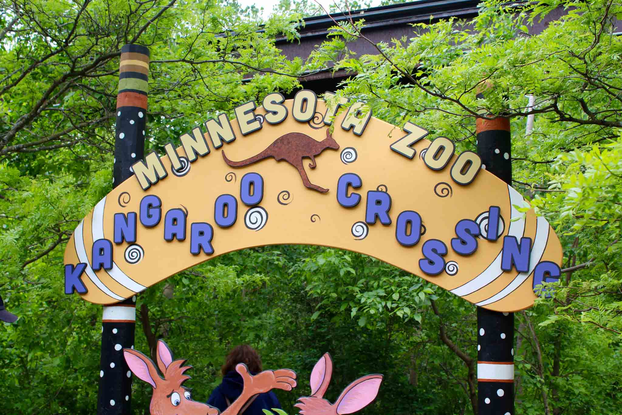Kangaroo Crossing at the Minnesota Zoo