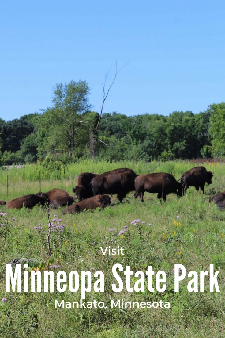 Between the camping, hiking, waterfalls and bison drive, find out how to see it all. Minnesota State Parks | Buffalo | Minnesota | Outdoors | Adventure | Bison | USA