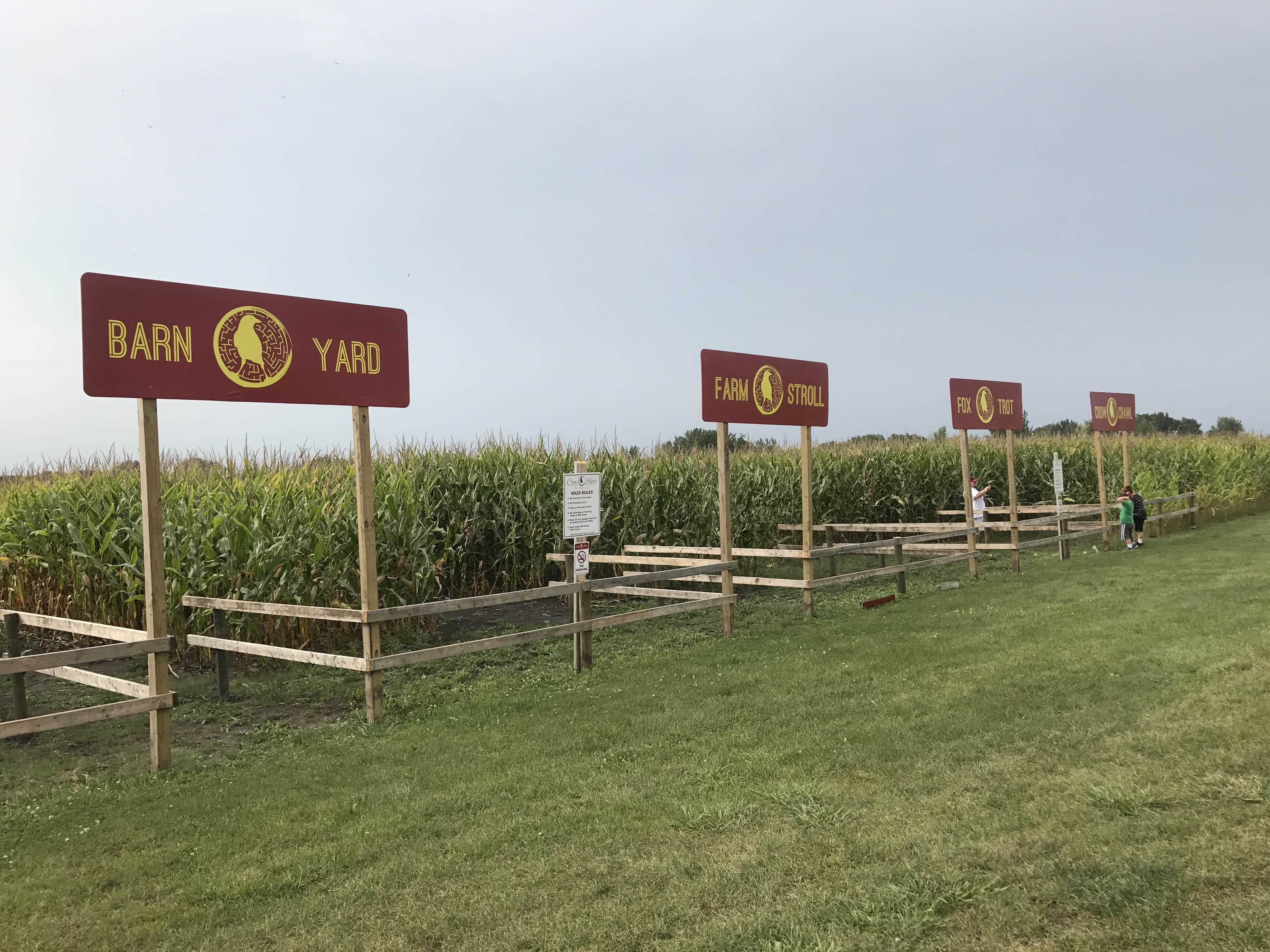 The Corn Maze at Crow River Winery