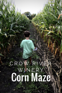 Fall Fun has come to the Crow River Winery Corn maze in Hutchinson.