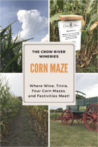 Wine, Trivia and Corn Maze. The Crow River Winery Corn Maze has it all and only an hour from the Twin Cities.
