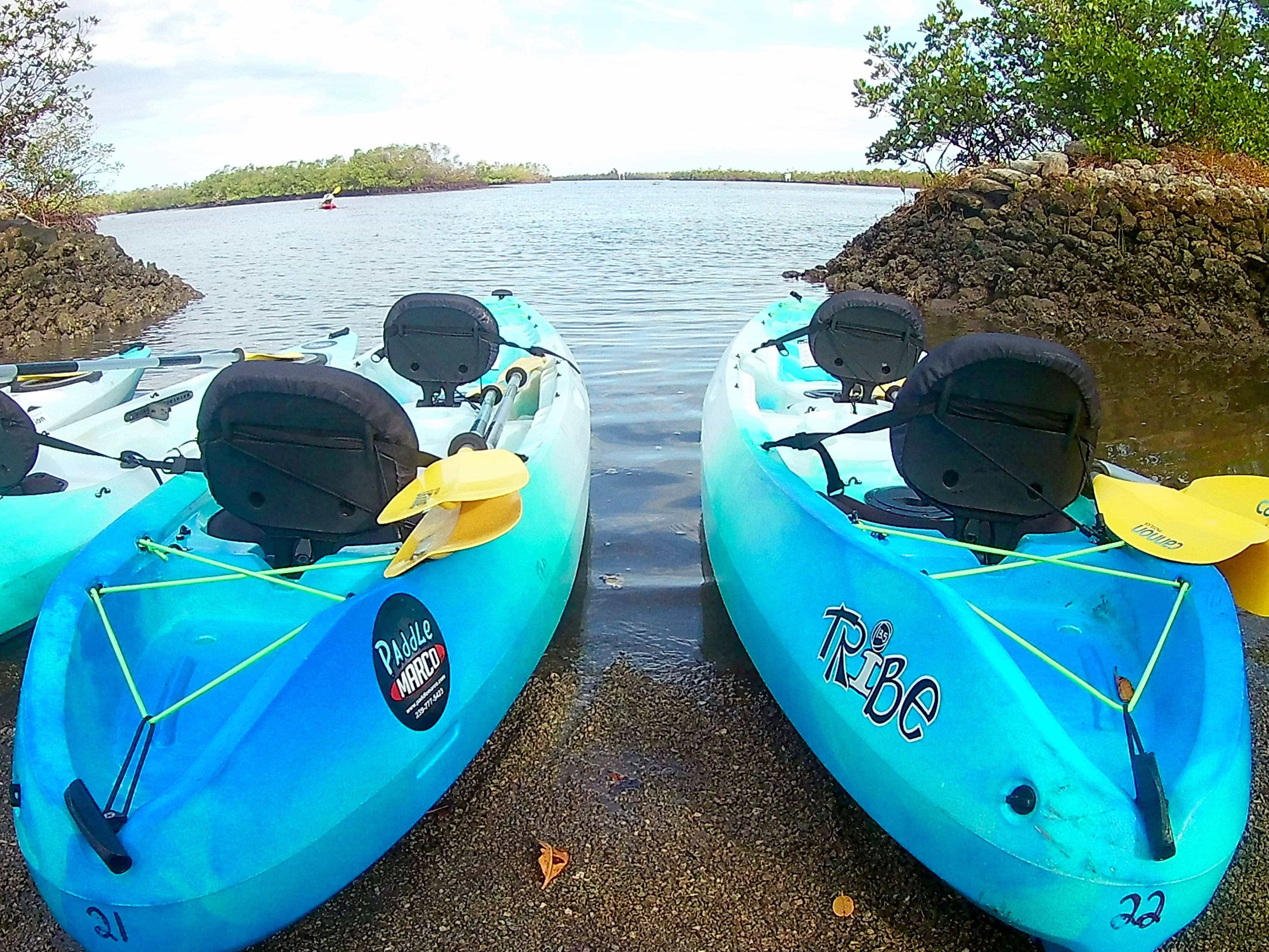 Kayaking Marco Island