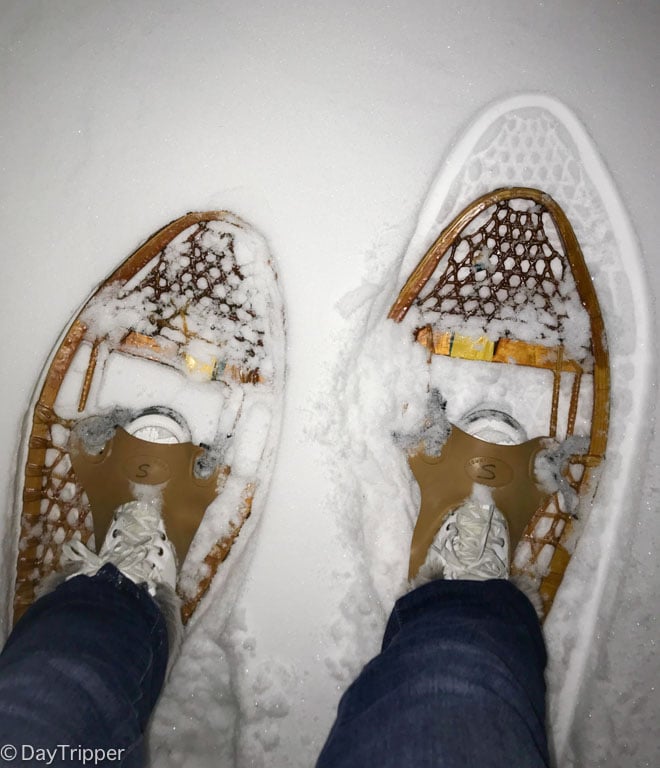 Snow Shoes at the Dodge Nature Center
