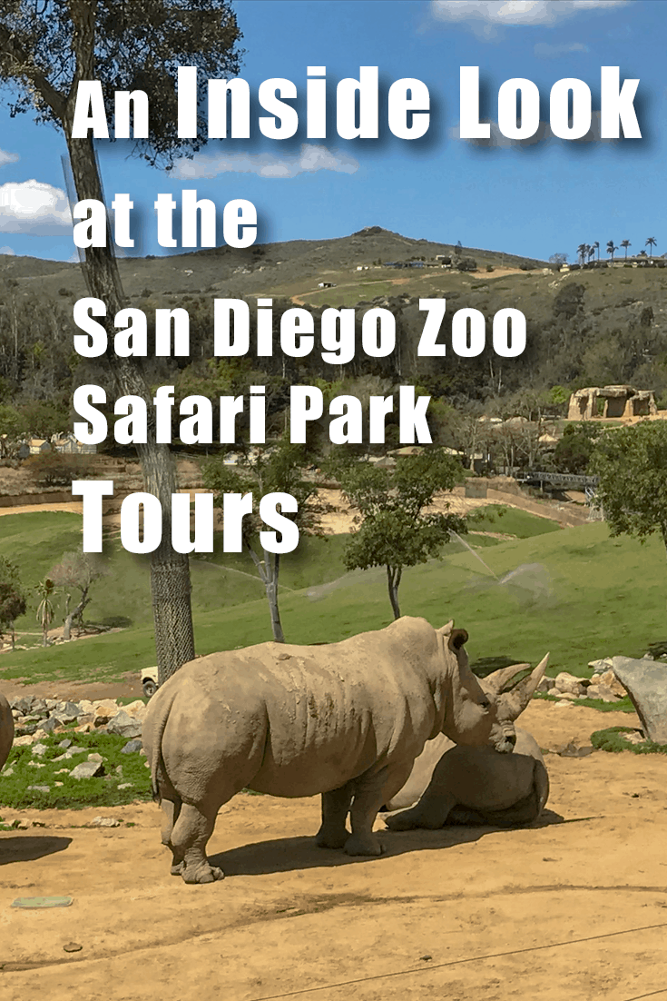 An Inside look at the San Diego Zoo Safari Parks Tours. Do you need them? Which one to pick? And how to get the best deal on discount tickets! Family Friend | Southern California | Safari Tour | California | US | Rino | Best Zoos in the US