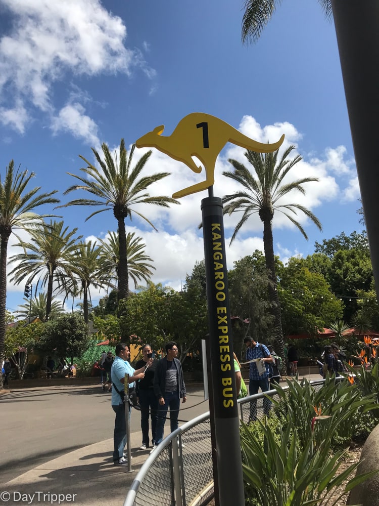 The fastest way to get around at the San Diego Zoo