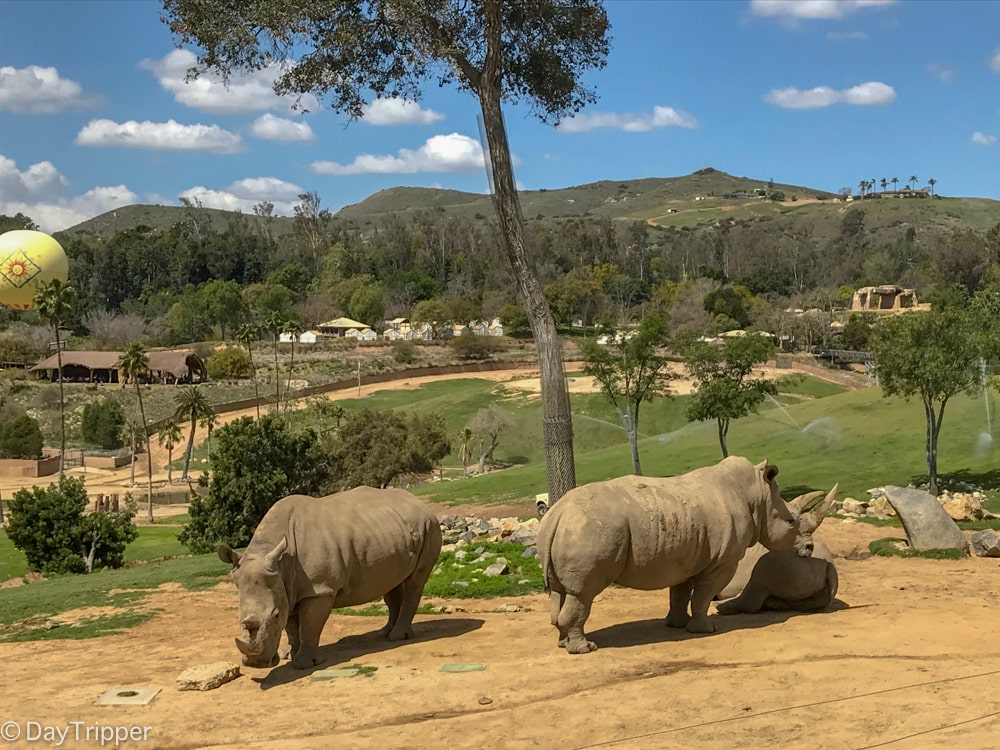 What tours should you take at the Safari Park?