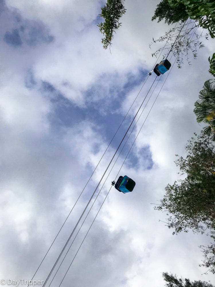 The Sky Ride at the San Diego Zoo