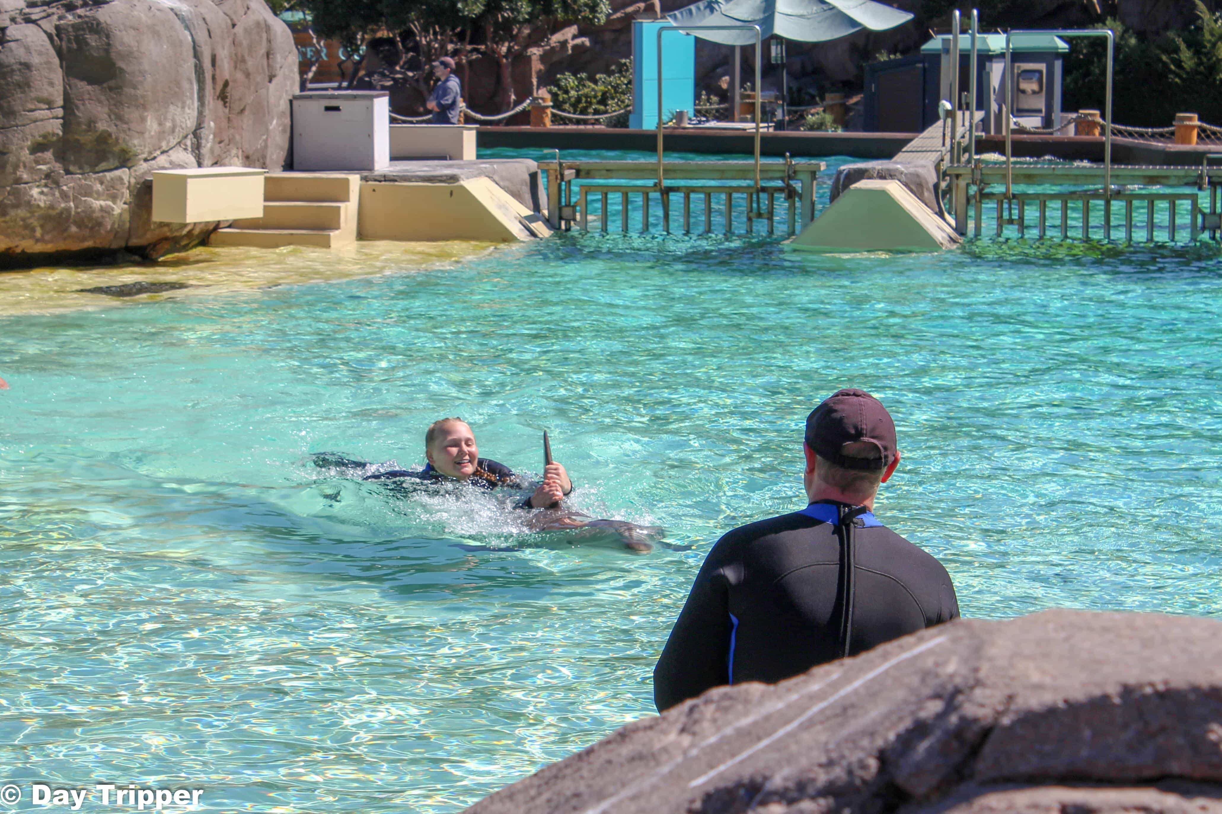Swimming on Dolphins at SeaWorld