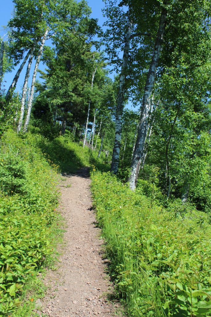 Gooseberry falls hiking club trail