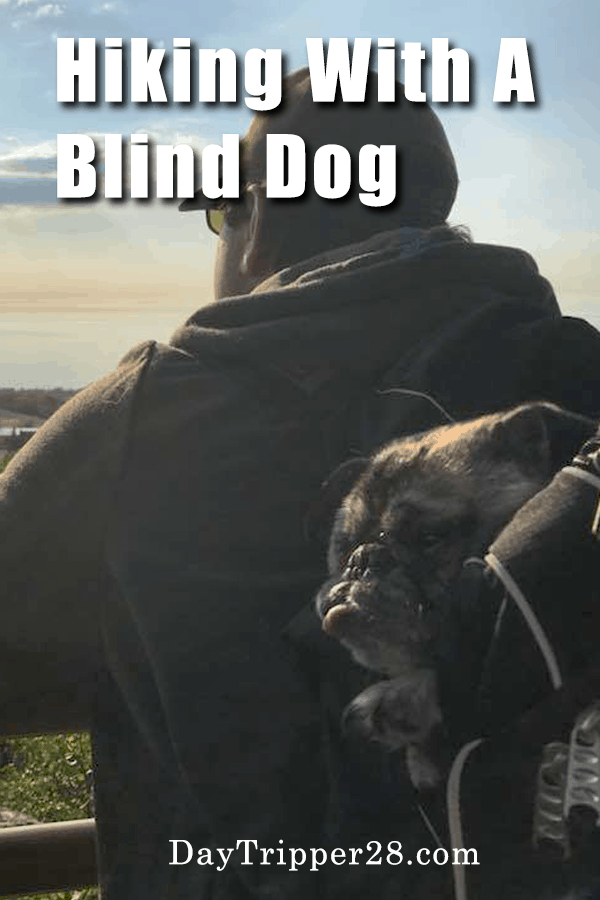 Tips for Hiking with a Blind Dog. Don't leave your pet behind on your next adventure! Pet Owners | Traveling with Pets | Gooseberry Falls