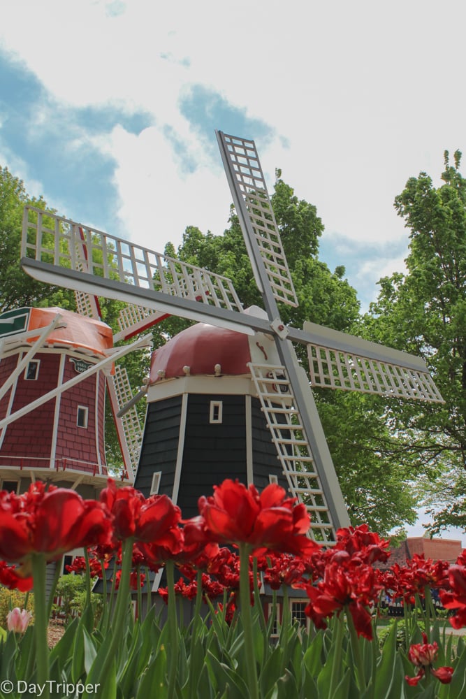 Orange City Windmill Park
