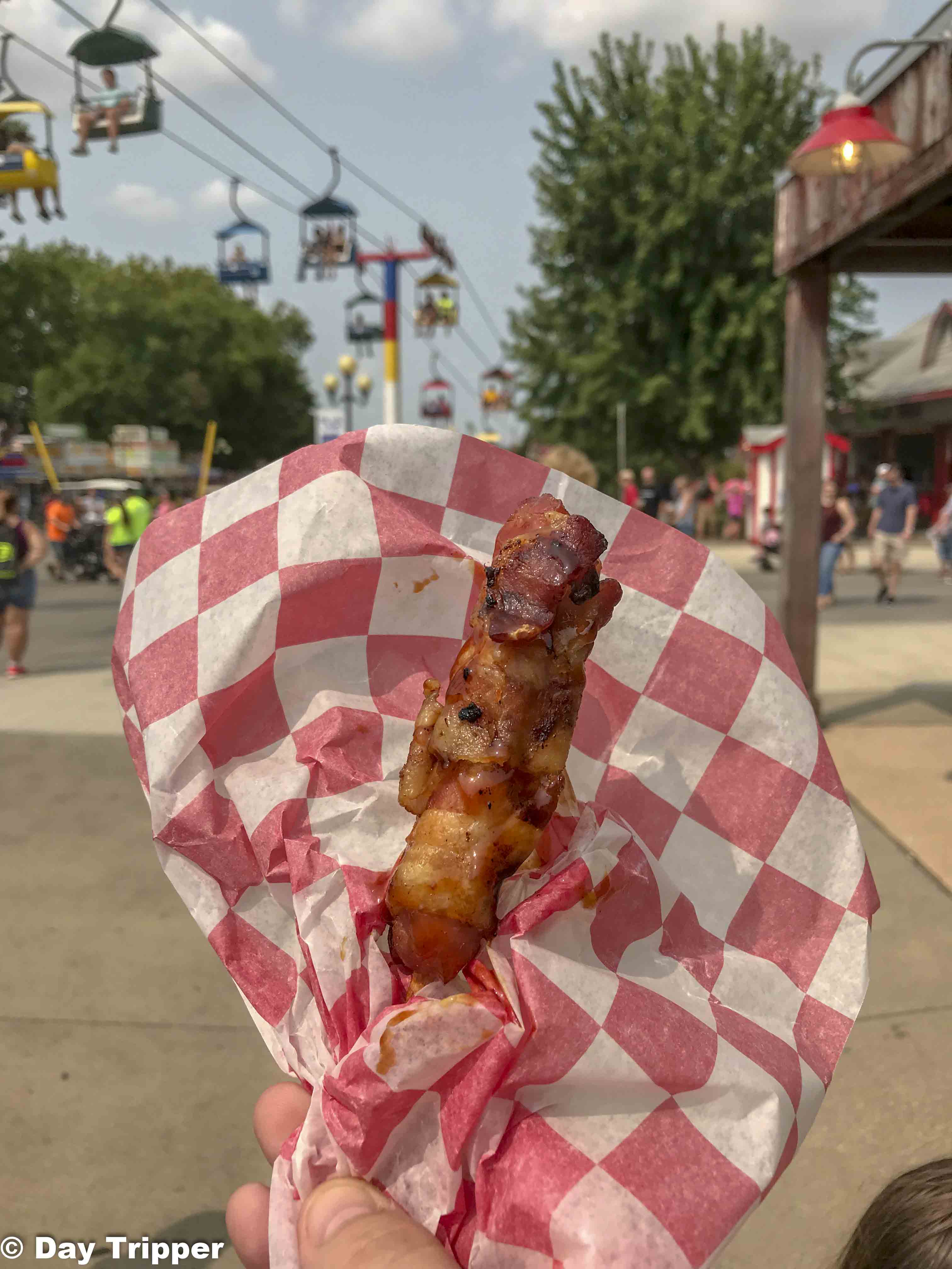 Bacon Wrapped Rib on a stick Iowa State Fair