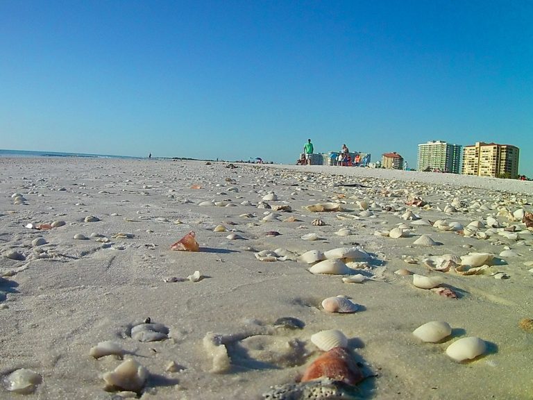 28 Best Things to do on Marco Island Florida