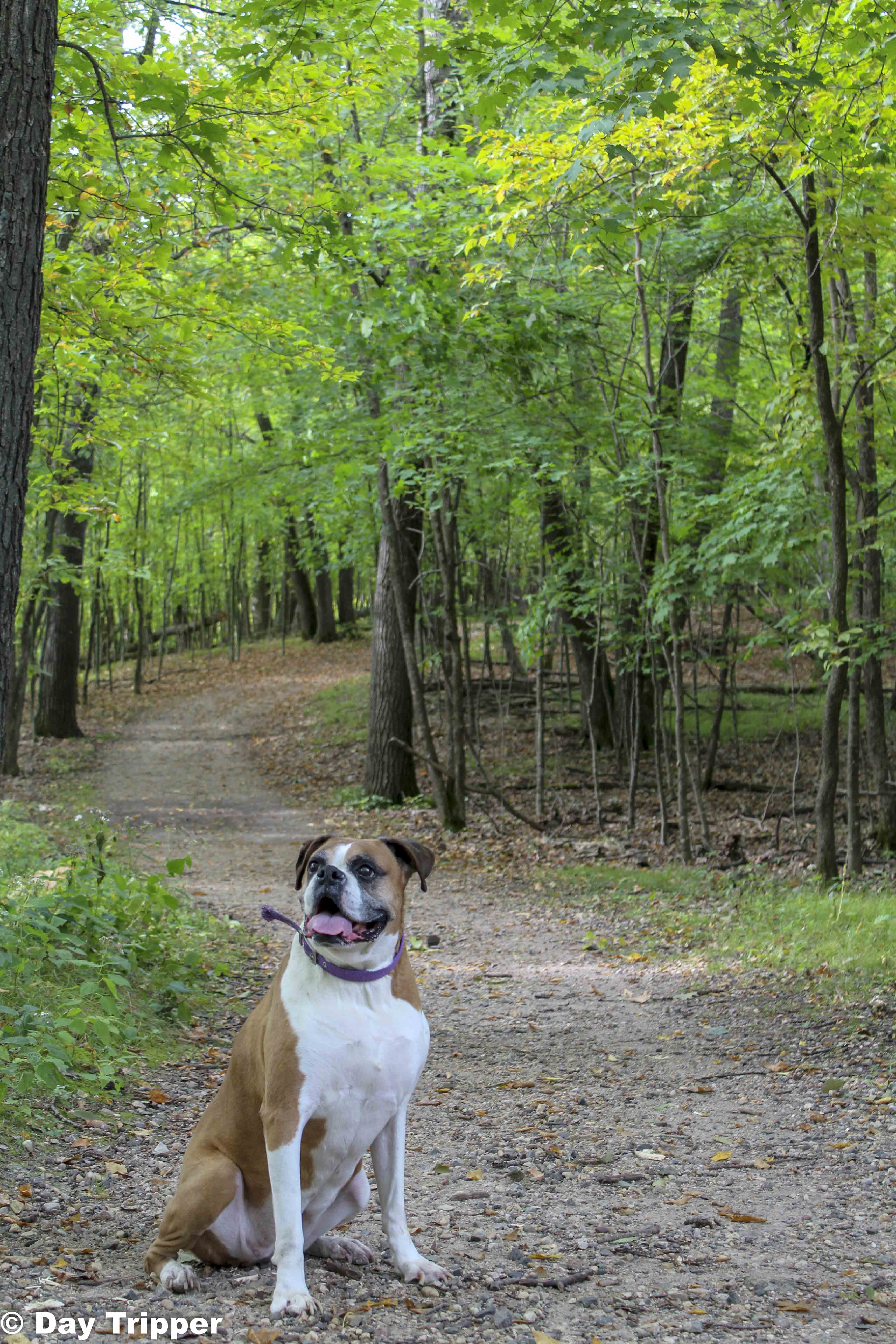 Jazzy Hiking on the Trail