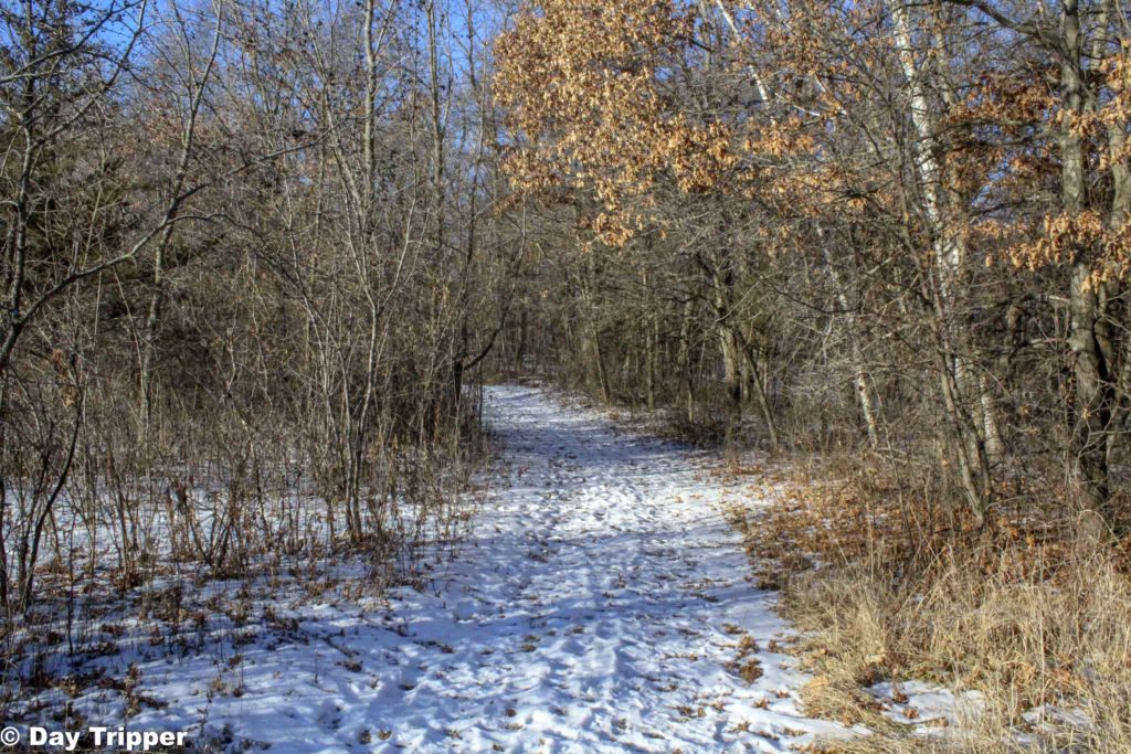 Snowy Hiking Trail in Minnesota