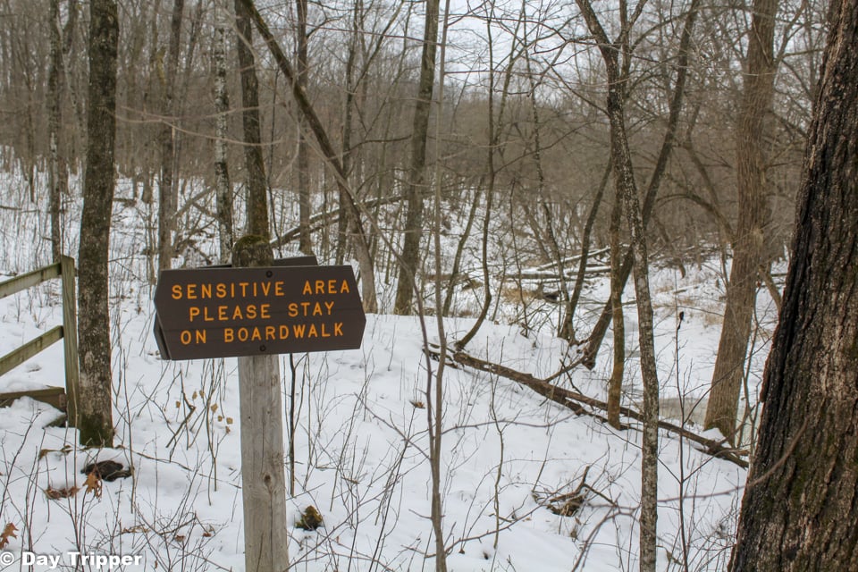 Stay on the Trail at Nerstrand Big Woods State Park