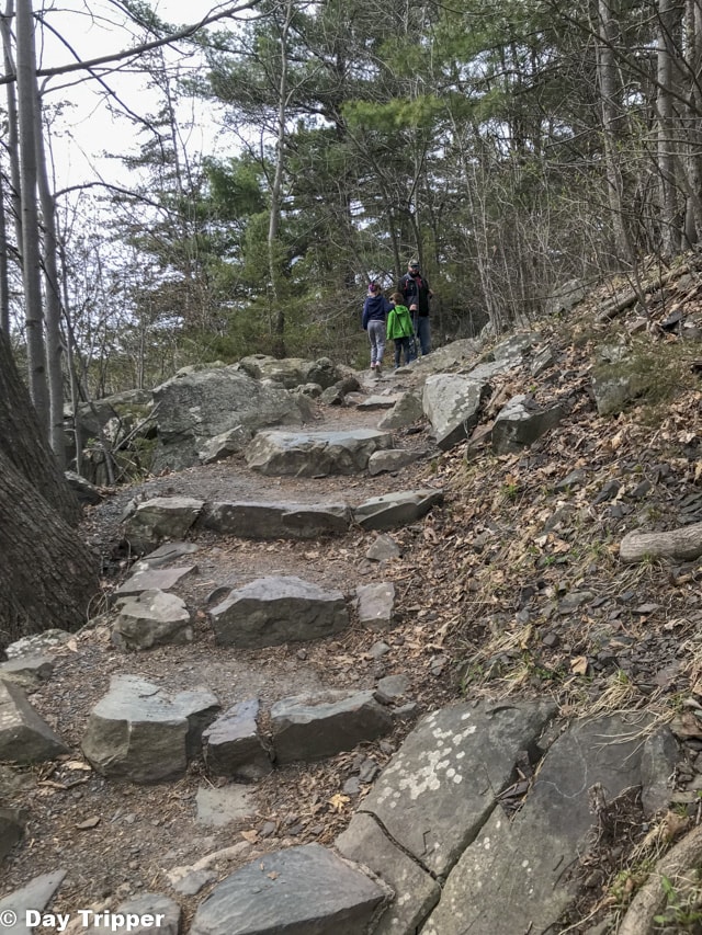 Insterstate State Park Steps