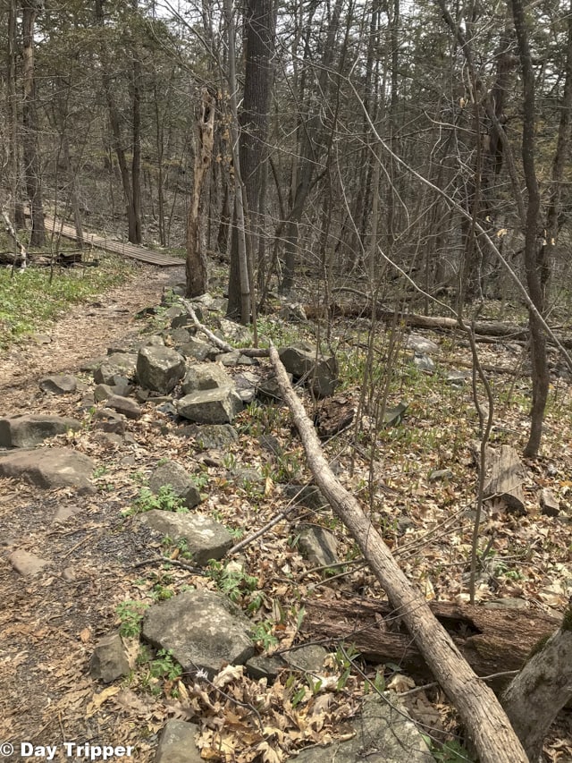 Insterstate State Park Hiking Trail