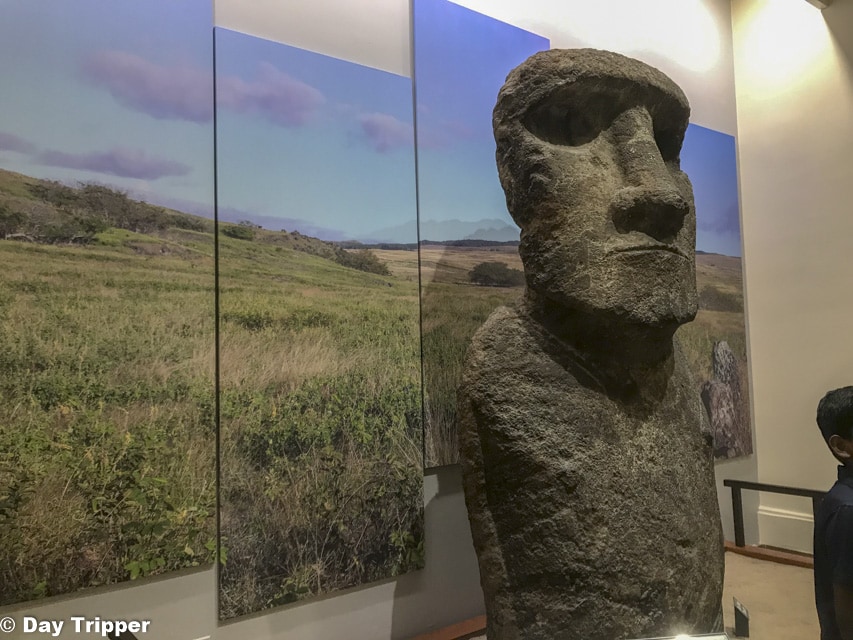 Natural History Museum - Easter Island Head