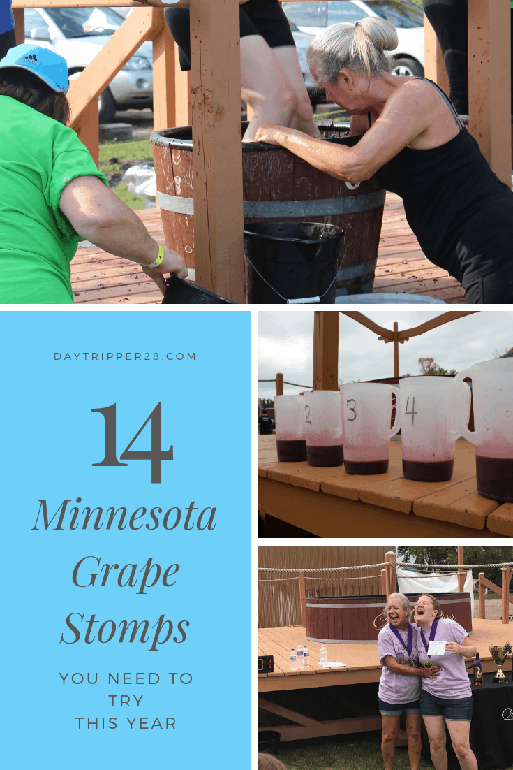 14 Minnesota Grape Stomps you have to visit this year. Outdoors | Vineyards | Wineries | Fall Fun