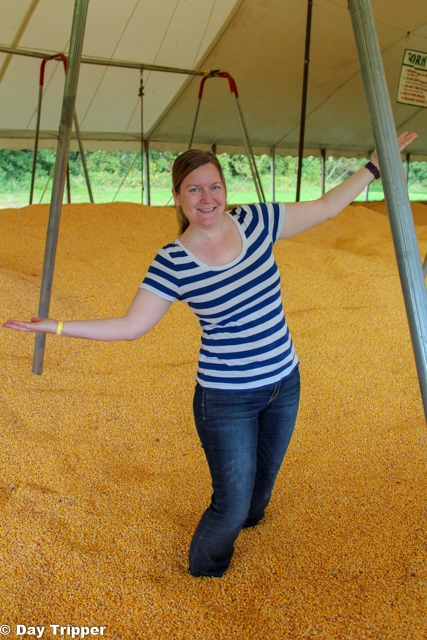 The Corn Pit at Severs Corn Maze