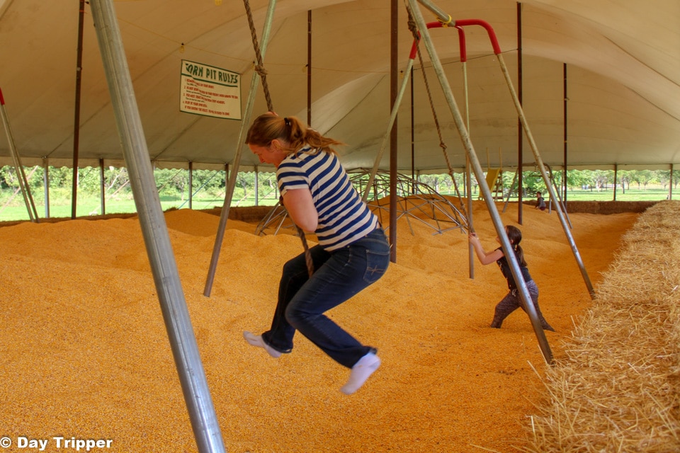 Extreme Corn Pit at Severs Fall Festival