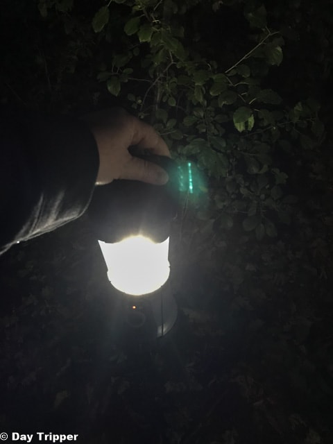 Lantern Walk