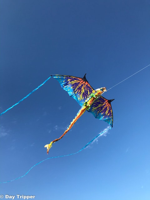 Flying Kites in Galveston TX