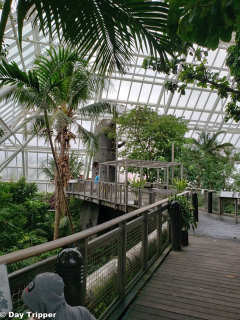 Inside the Rain Forest Moody Gardens