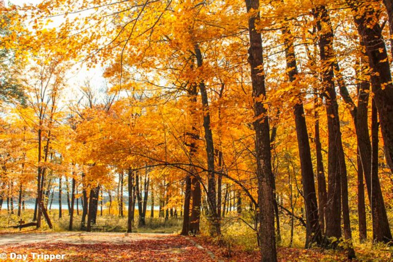 Minnesota’s Fall Colors Shine at Rice Lake State Park