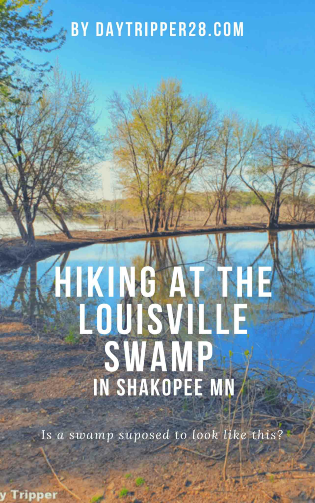 Hiking at the Louisville Swamp in Shakopee MN