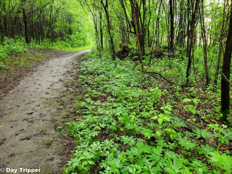 Amazing Eden Prairie Hiking Trails: Forget You Are in the Suburbs