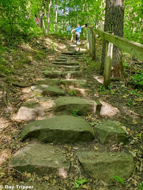 Stone Steps at Charles A Lindbergh State Park