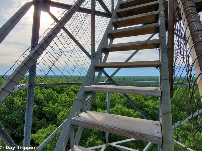 Walking up the St Croix State Park Fire Tower