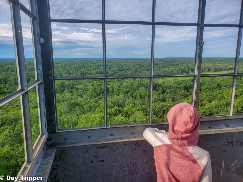 Fire Tower at the St Croix State Park