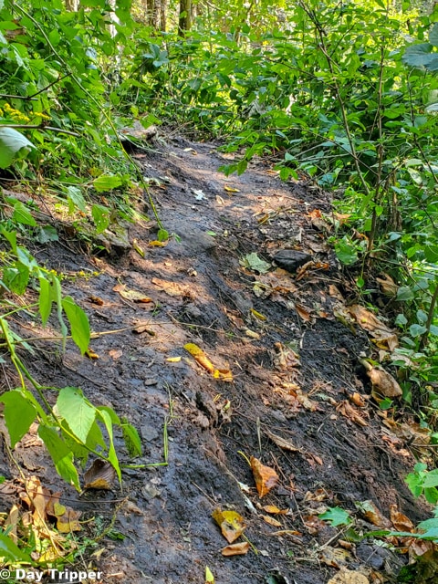Muddy Hiking Trail