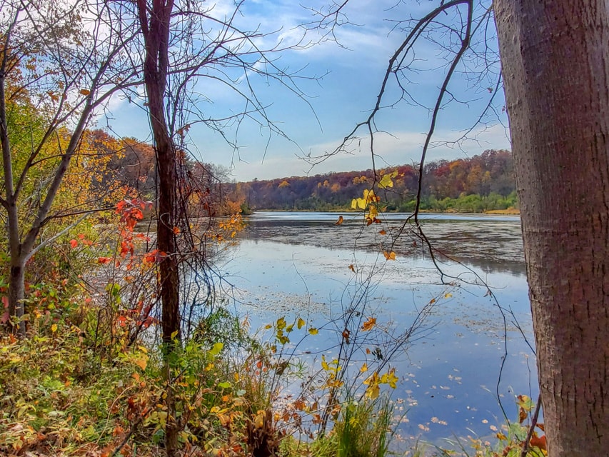 Lake Alice in Fall at William O'Brien State Park