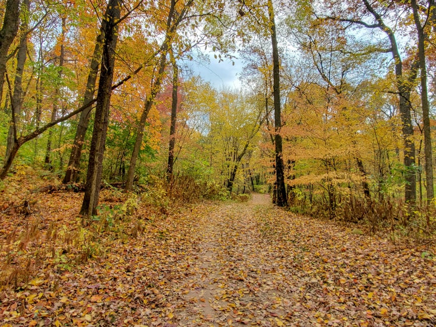 Fall Colors at William O'Brien State Park