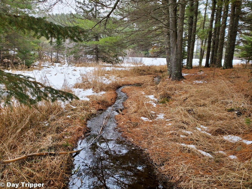 Water running through hiking trail